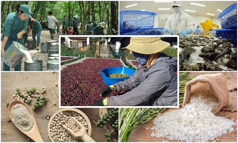 Xuất siêu nông, lâm, thủy sản 7 tháng năm 2022 tăng gần đôi cùng kỳ
